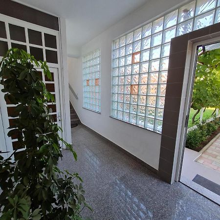 Guest House Barba Bibinje Bagian luar foto